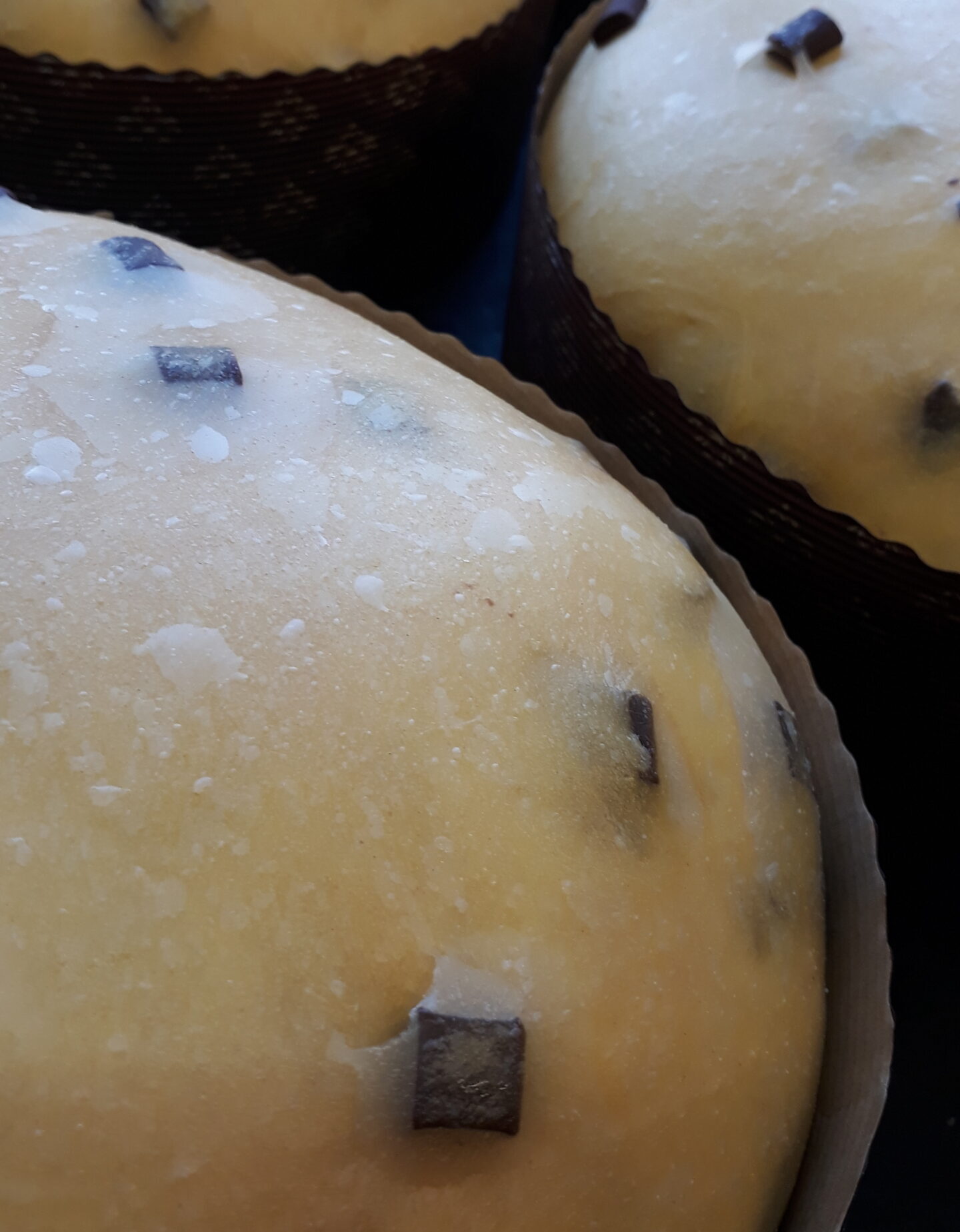 Panettone al cioccolato - immagine 3